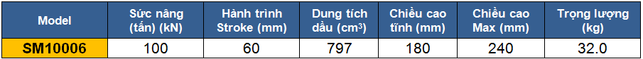 thong so ky thuat kich 1 chieu, kich thuy luc 100 tan, kich thuy luc 1 chieu 100 tan 60 mm, htttp://thegioithuyluc.com.vn